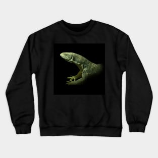 Monitor lizard Crewneck Sweatshirt